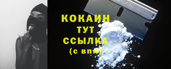 стаф Белоозёрский