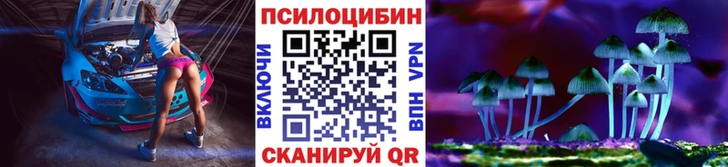 что такое   Горнозаводск  KRAKEN ONION  Псилоцибиновые грибы GOLDEN TEACHER 